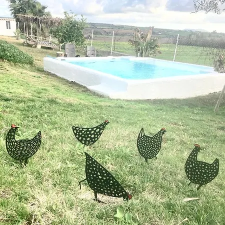 El Lagar De Abuelos *