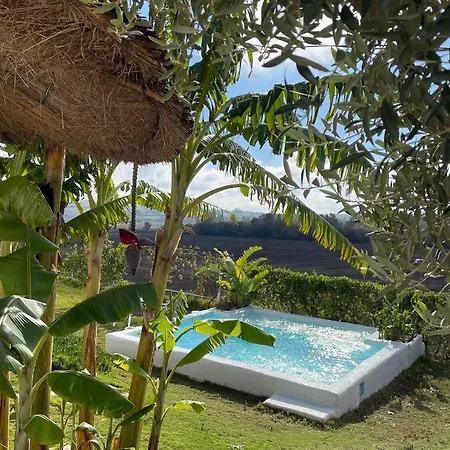 El Lagar De Abuelos Apartment